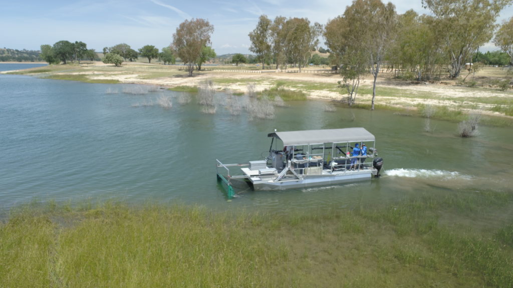 The Platform: A novel non-invasive fish monitoring method