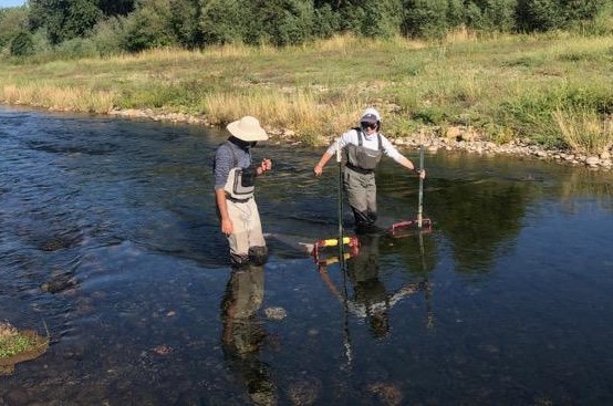 Summer Internships at CFS